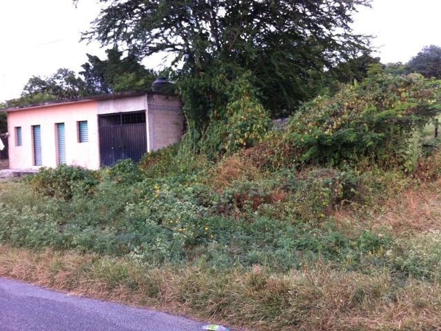 place photo 11