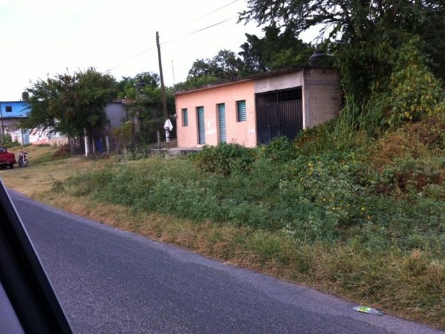 place photo 12