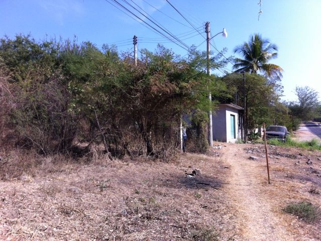 place photo 1