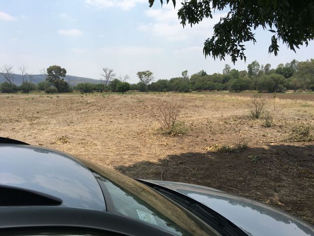 place photo 18