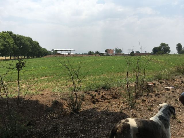 place photo 22