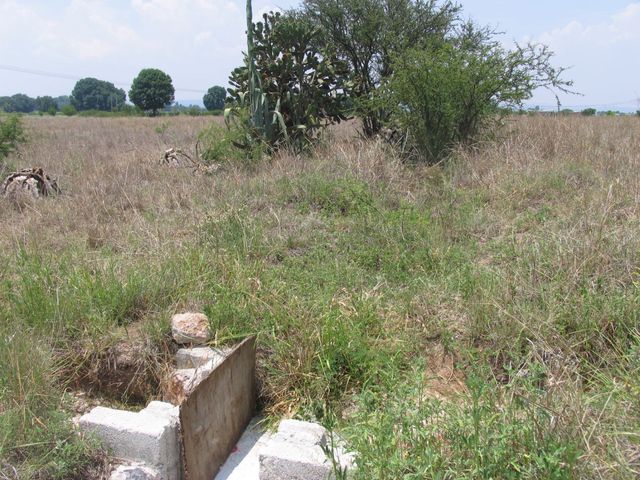 place photo 33