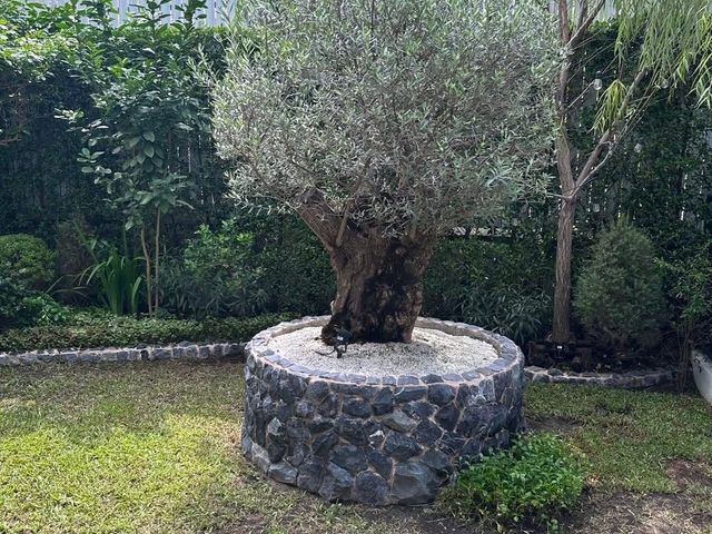 place photo 33