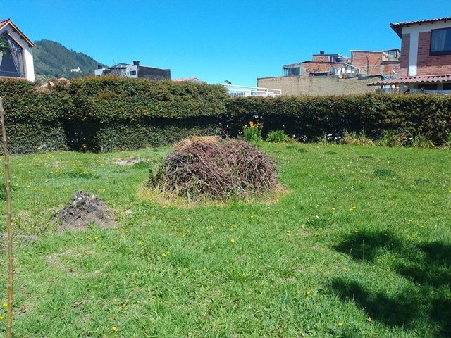 place photo 29