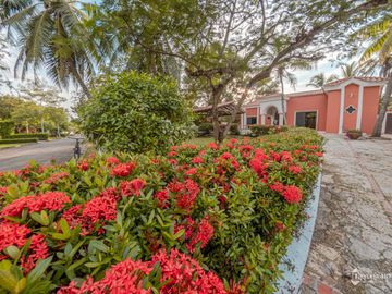 place photo 37