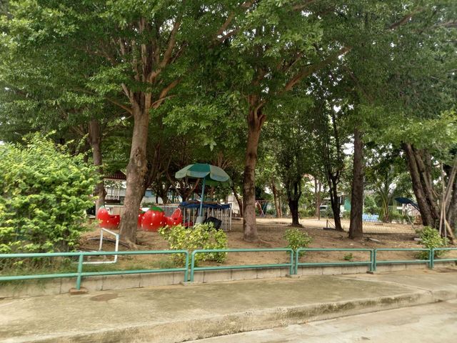 place photo 9
