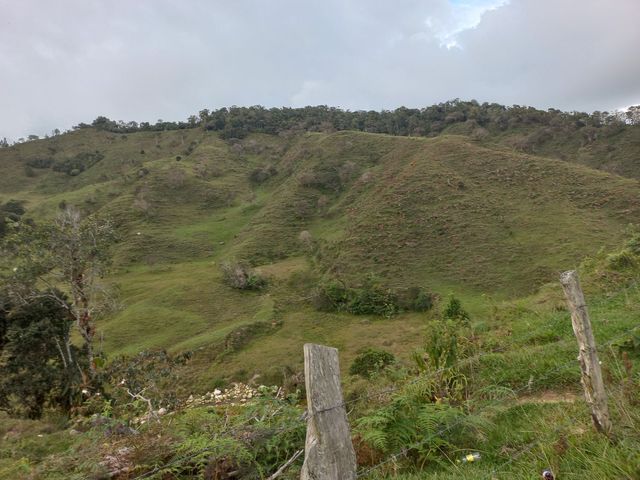 place photo 55