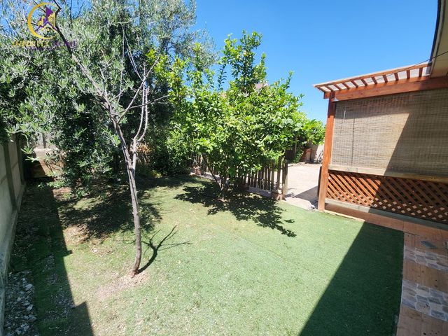 place photo 27