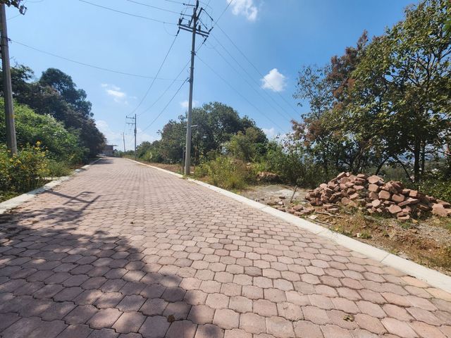 place photo 18