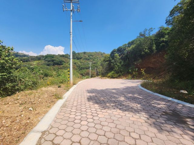 place photo 22