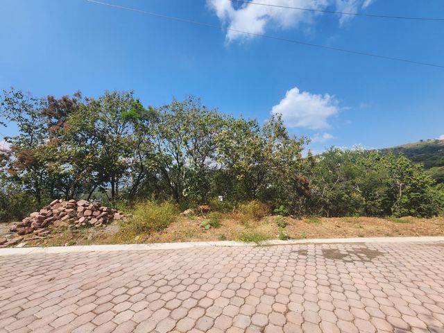 place photo 23