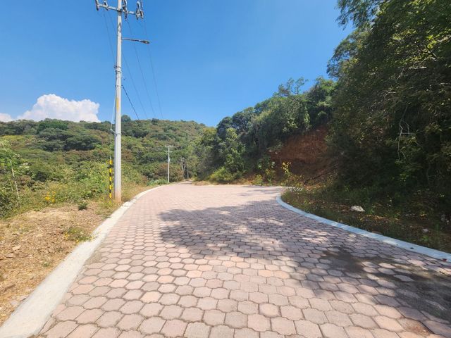 place photo 25