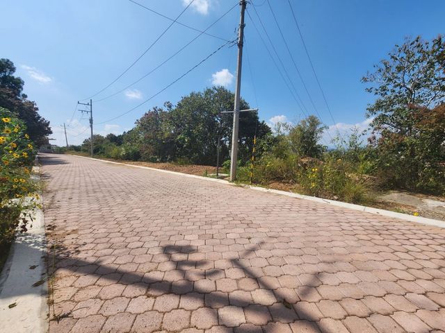place photo 26