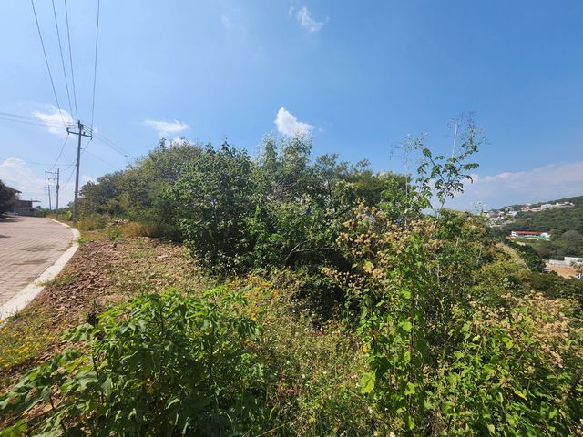 place photo 38