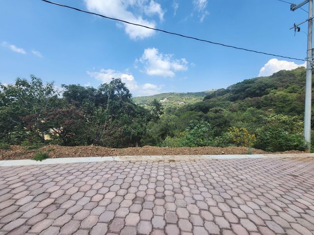 place photo 27