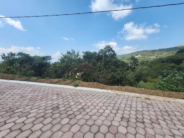 place photo 28