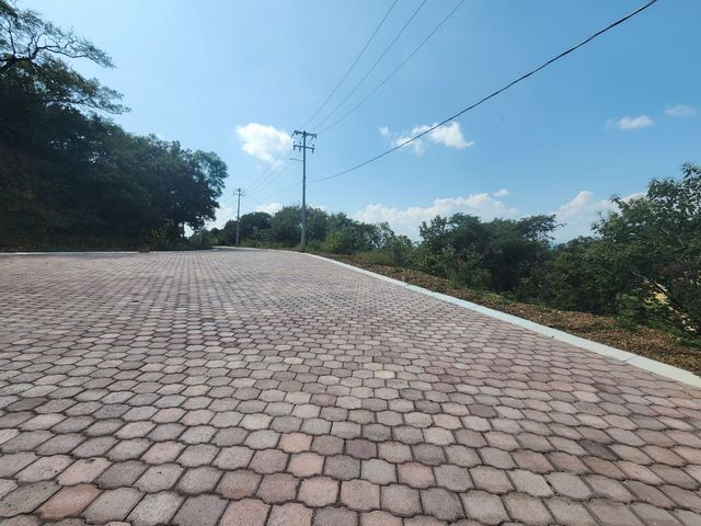 place photo 33