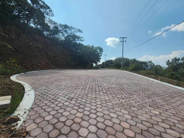 place photo 34