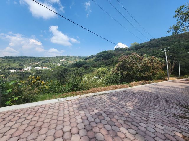 place photo 35