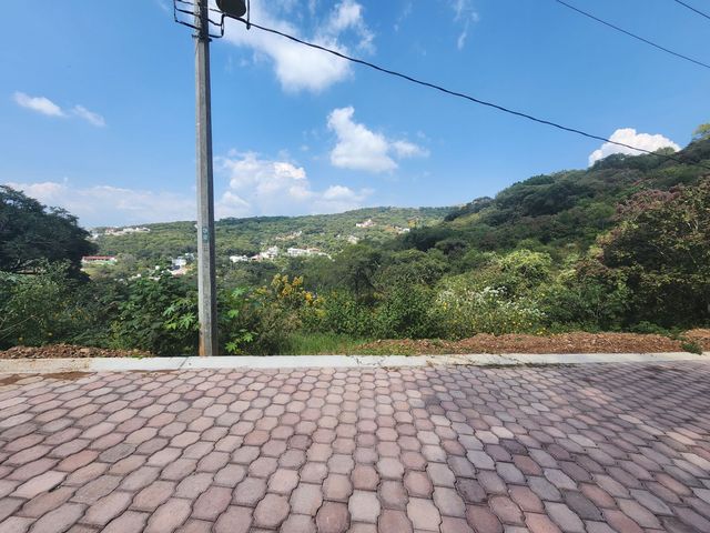 place photo 36