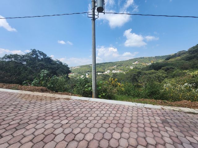 place photo 40