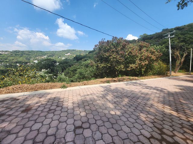place photo 46