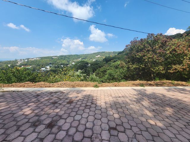 place photo 47