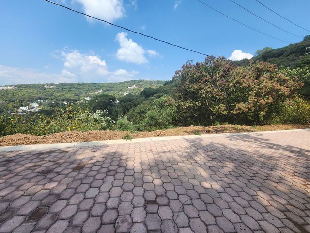 place photo 48