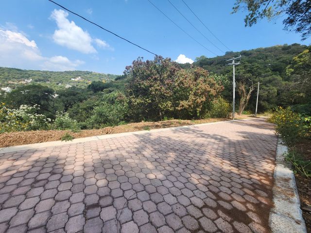 place photo 30
