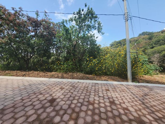 place photo 14