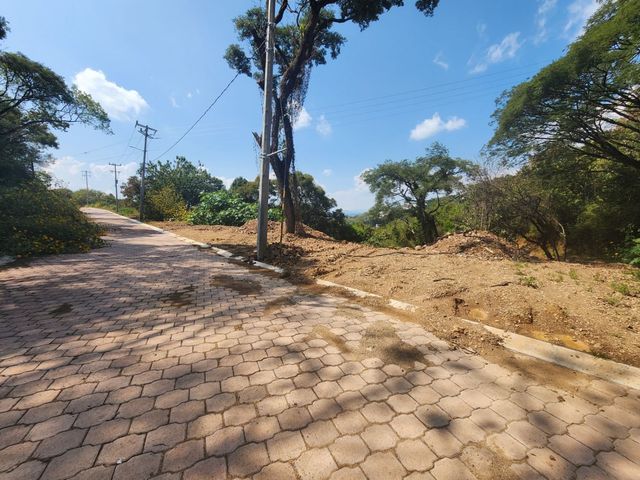 place photo 30
