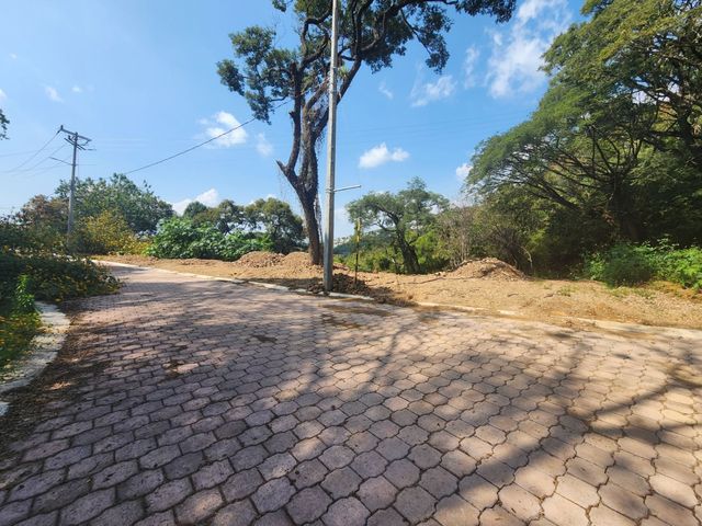 place photo 32