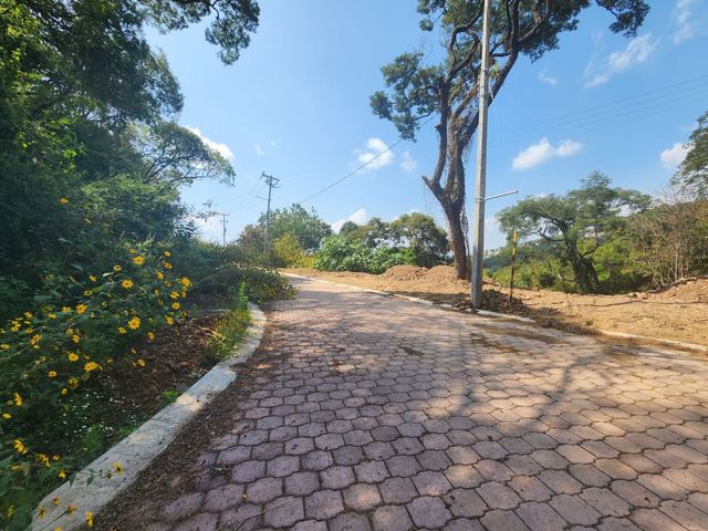 place photo 36