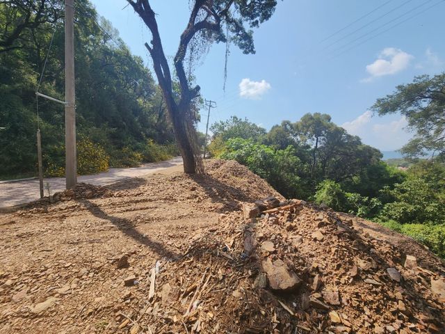 place photo 34