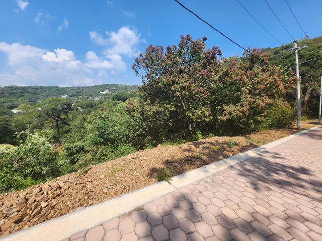 place photo 14