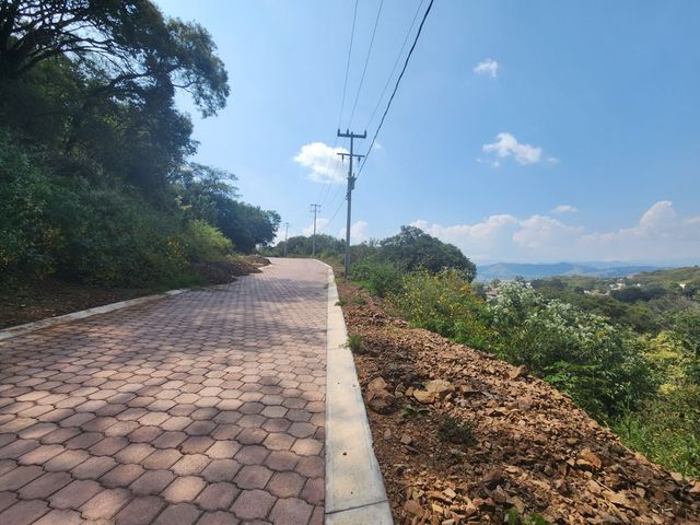 place photo 24
