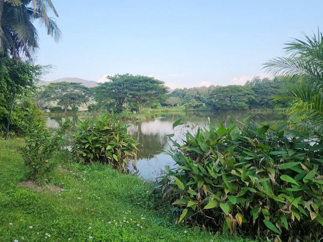 place photo 42