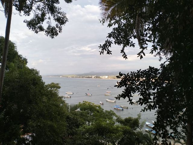 place photo 25