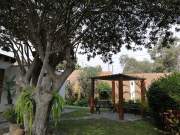 place photo 35