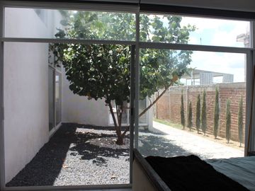 place photo 38