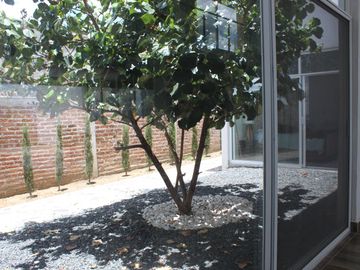 place photo 37