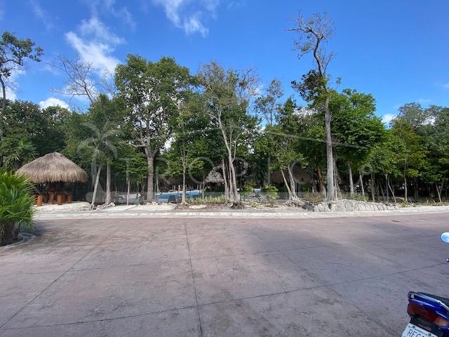 place photo 21