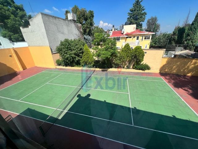 place photo 32