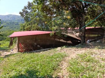 place photo 35