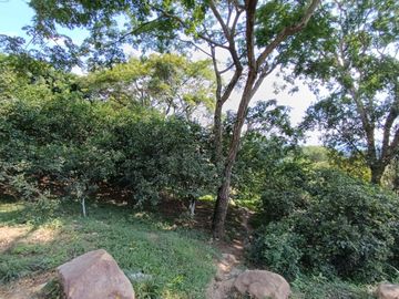 place photo 37