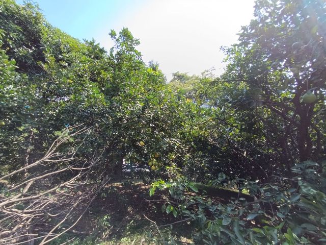 place photo 40