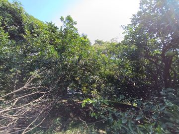 place photo 40
