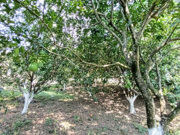 place photo 41