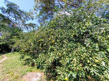 place photo 42