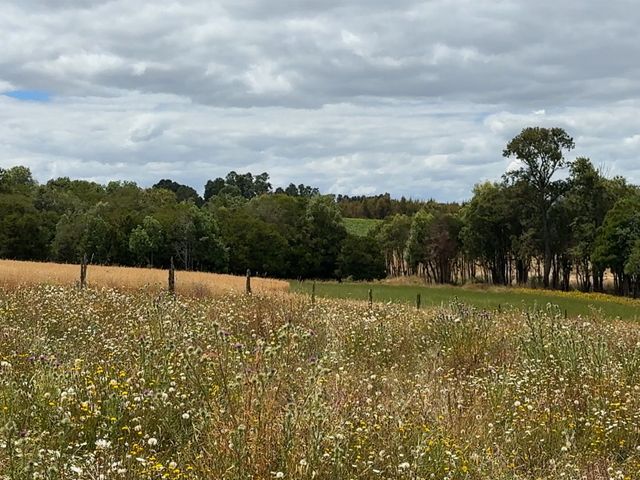 place photo 22